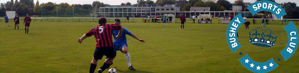 Metropolitan Police Sports Ground